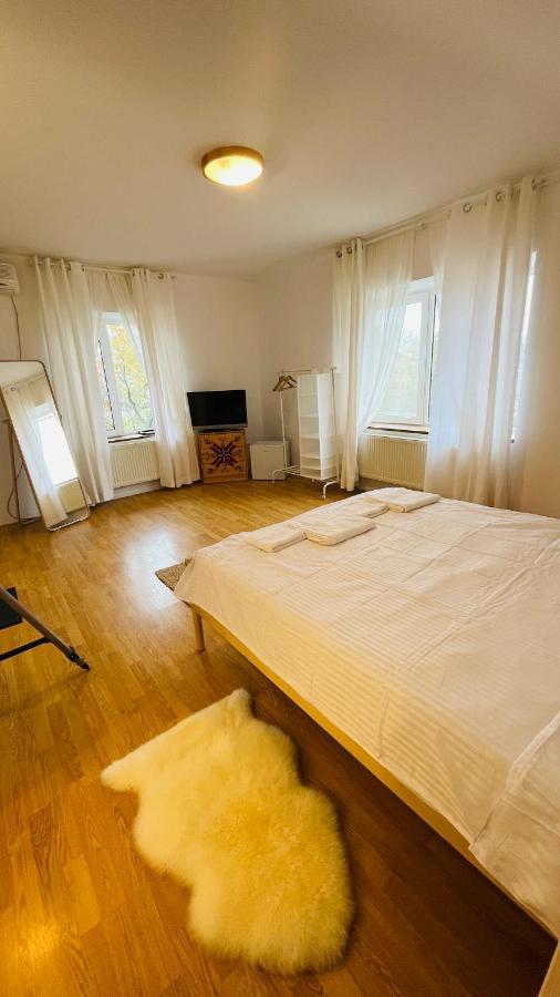 Biolocalia House Dobrogea Apartment Balotesti Exterior photo