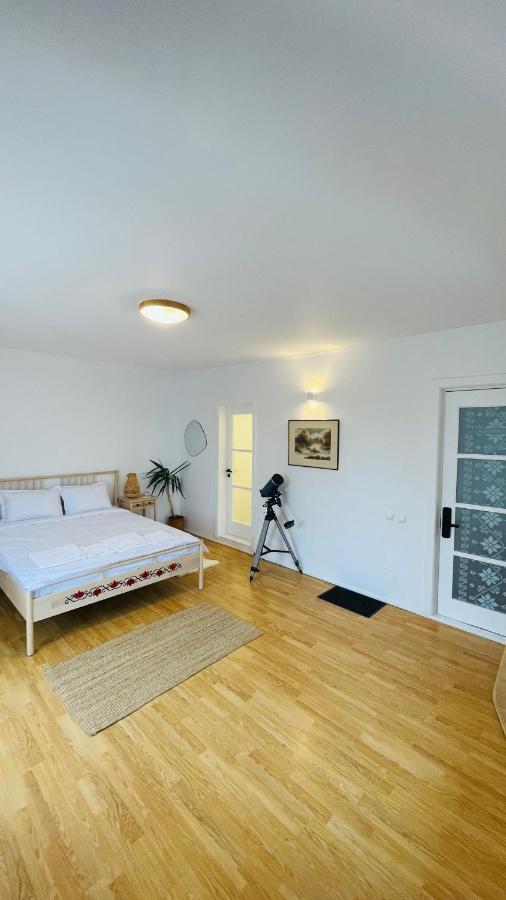 Biolocalia House Dobrogea Apartment Balotesti Exterior photo